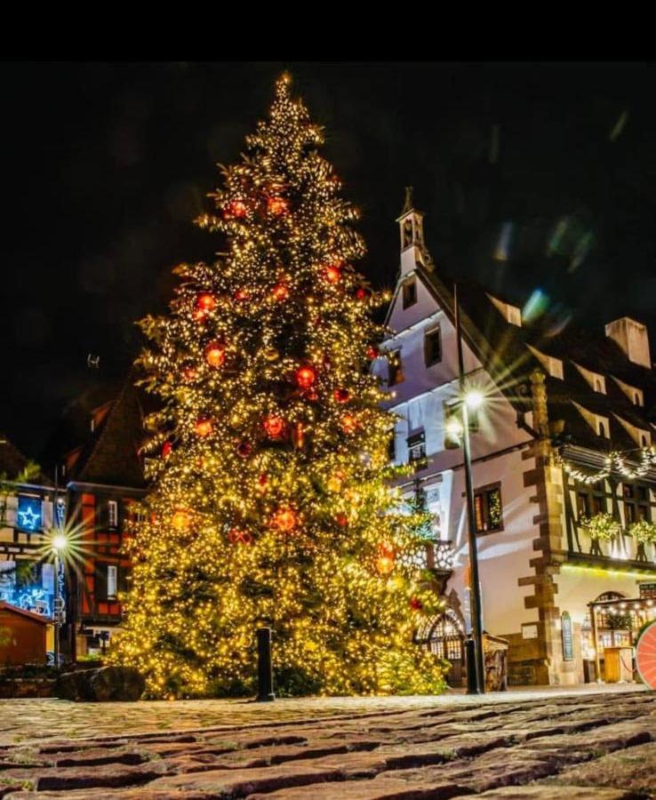 Appartamento La Colonne Obernai Esterno foto